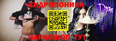 гидра Беслан
