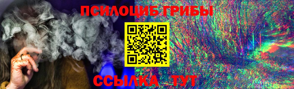 Калач-на-Дону  Псилоцибиновые грибы Psilocybe  даркнет сайт  Вход с VPN 